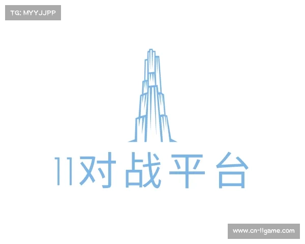 了解11对战平台
